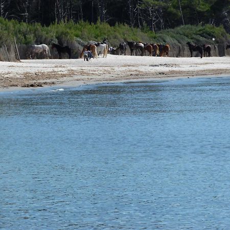 Affittacamere A Due Passi Dal Mare มารินา ดิ เชชินา ภายนอก รูปภาพ